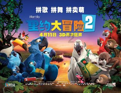 飞扬的独眼鸟